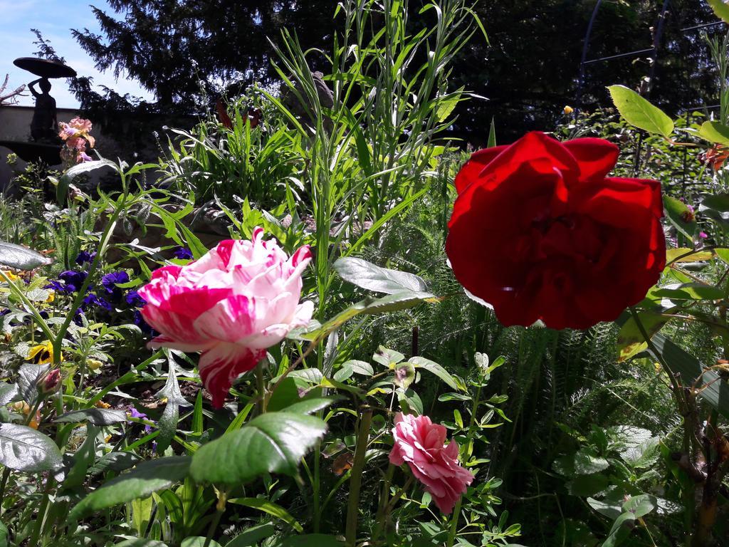 로쉐코르봉 Le Vieux Vauvert B&B 외부 사진